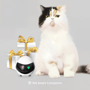 Enabot EBO SE Wireless Camera
